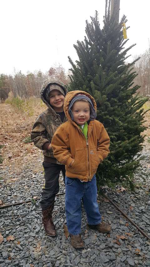 Spillman Christmas Tree Farm Spillman Christmas Tree Farm